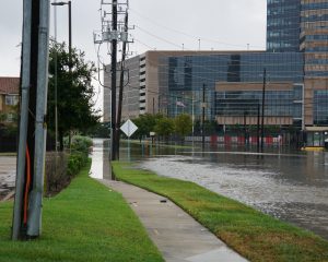 DOL Guidance for Benefit Plans Impacted by Hurricane Harvey - Default Landing Page - Strategic Services Group - GettyImages-841053712-300x240