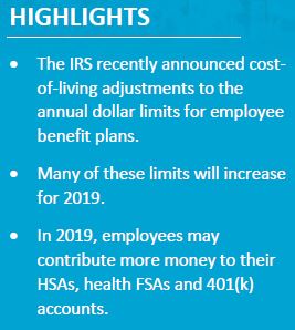 IRS Announces Employee Benefit Plan Limits for 2019 - Default Landing Page - Strategic Services Group - irs